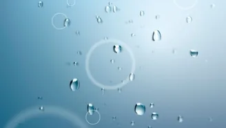 Memosens 数字技术